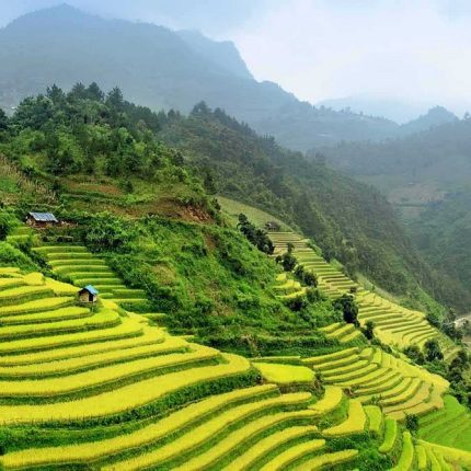 Victour-Tour SaPa