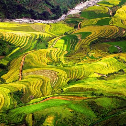 victour-Du lịch Mù Cang Chải